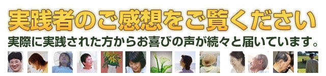 モニターのご感想をご覧ください。